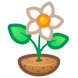 plant icon